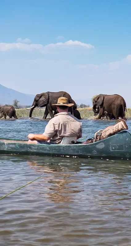 Mana Pools safari
