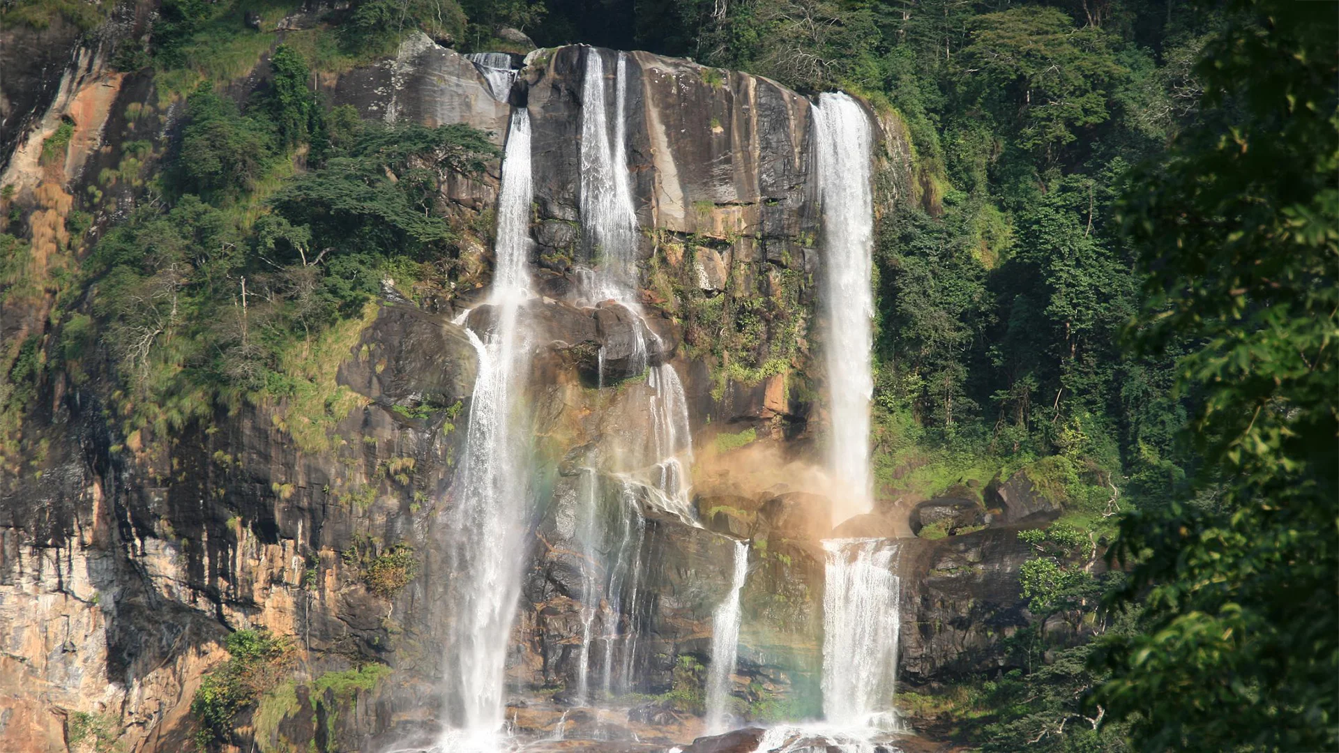 Sanje Falls cascading down a forested cliff in Udzungwa Mountains National Park, Tanzania