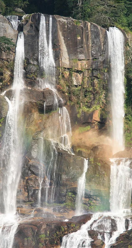 Sanje Falls cascading down a forested cliff in Udzungwa Mountains National Park, Tanzania