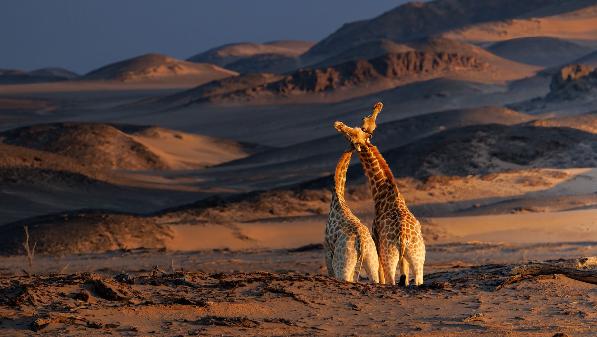Namibia