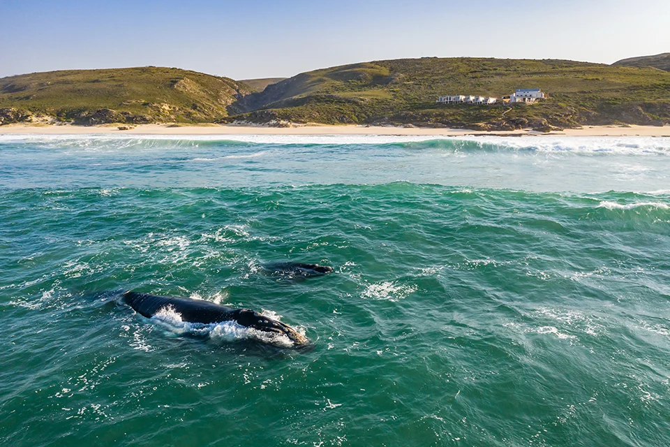 De Hoop Nature Reserve