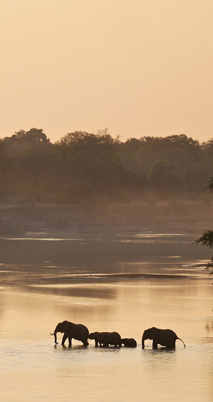 Luxury Zambia safari