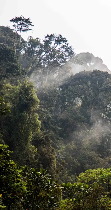 ngungwe national park