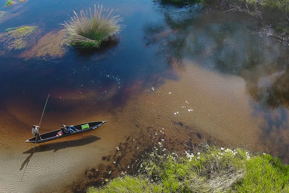 Cape Town & Okavango Delta