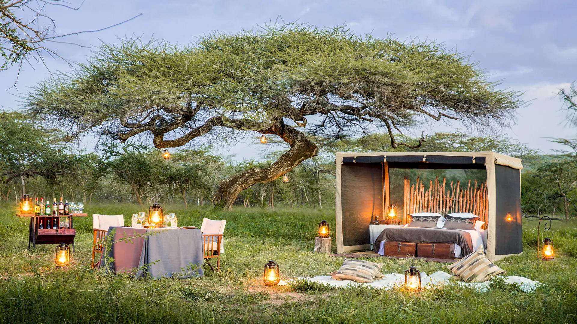 Luxury fly-camping setup beneath a sprawling acacia tree in the Serengeti, with a candlelit dinner and open-front safari tent at dusk
