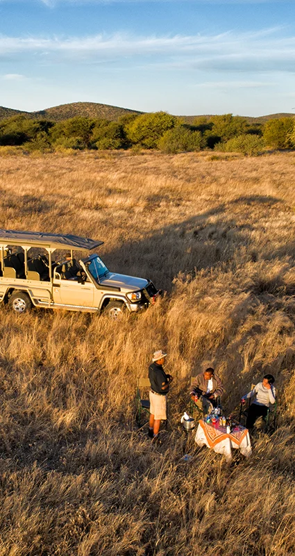 Guests enjoying safari sundowners beside a game-drive vehicle in the golden grasslands of Etosha Heights Private Reserve, Namibia