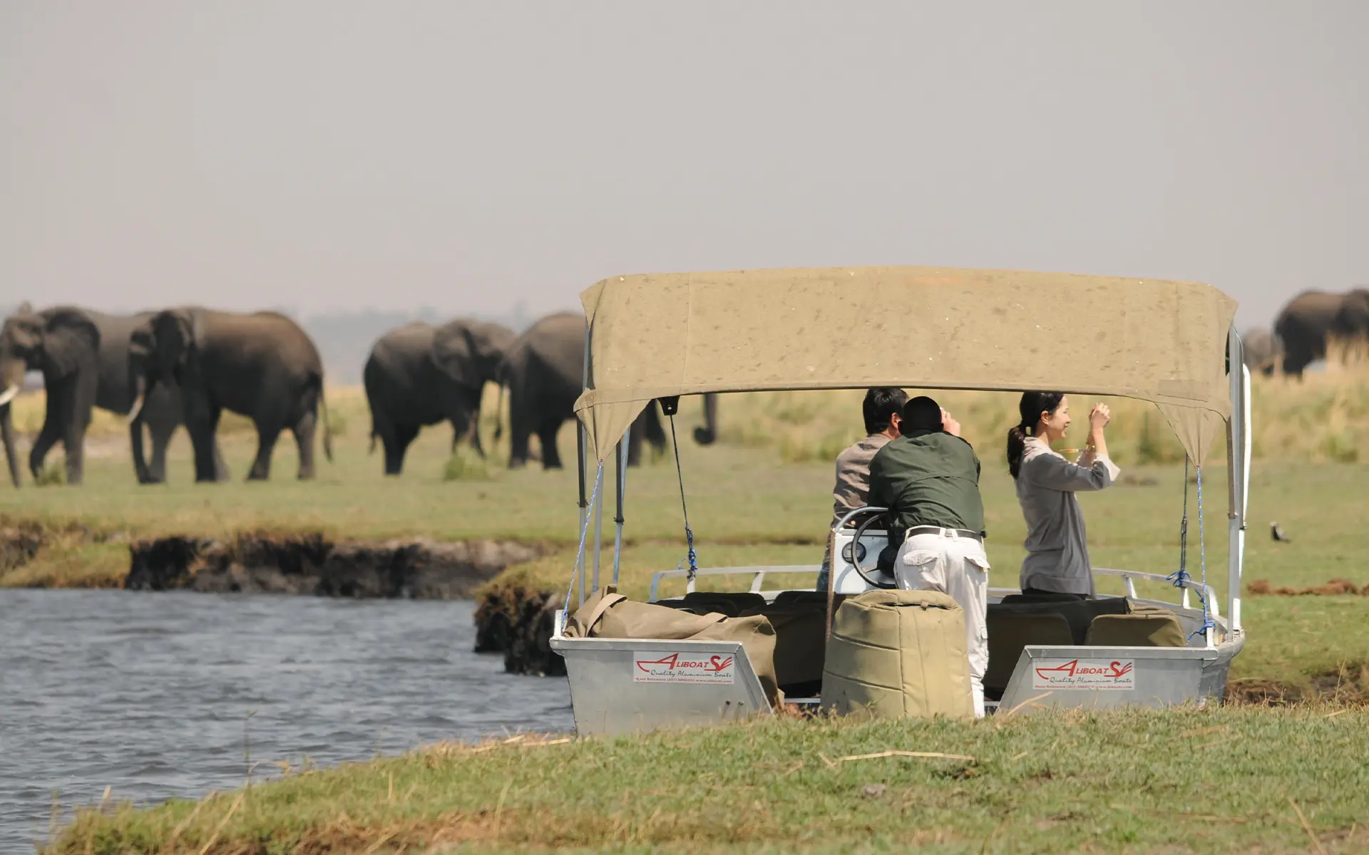 Botswana safari