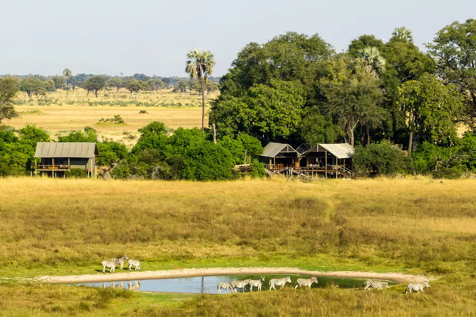 Okavango Delta celebration