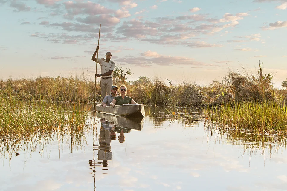 Guests enjoying a traditional mokoro canoe safari through the Okavango Delta at sunrise, guided along a tranquil waterway lined with reeds