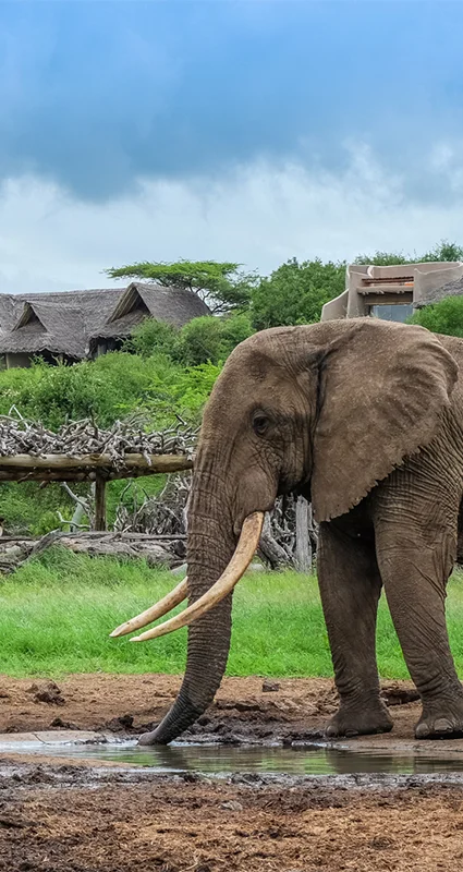 Ol-Donyo-in-Chyulu-Hills-National-Park-Kenya