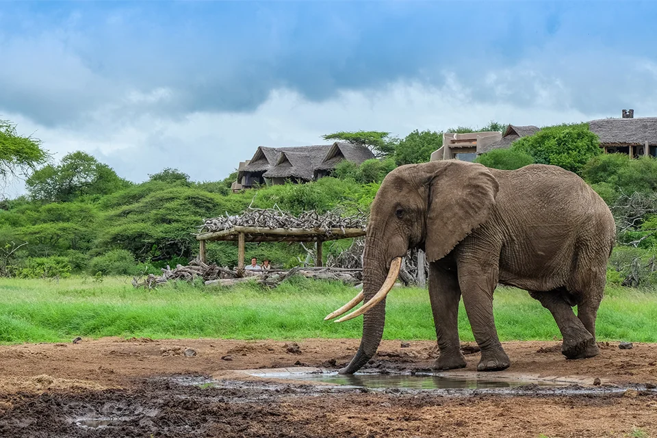Chyulu Hills National Park