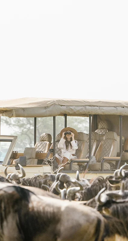 Safari vehicle surrounded by a herd of wildebeest during the Great Migration in the Serengeti, Tanzania
