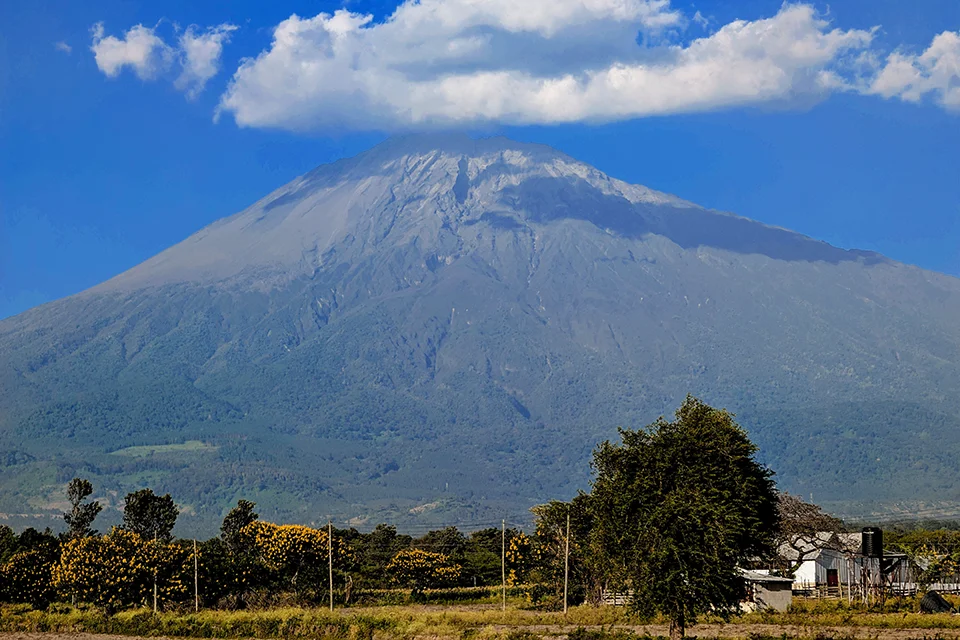 Arusha