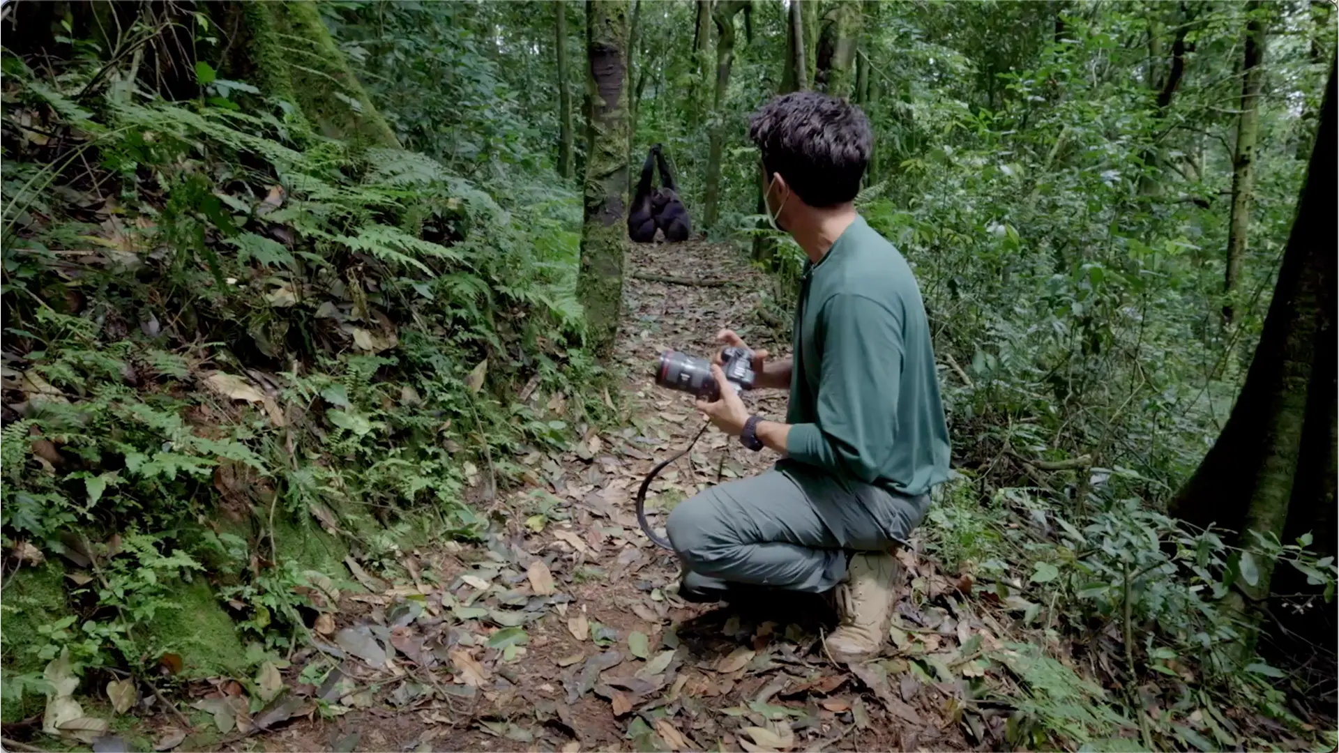 Primate trekking trip