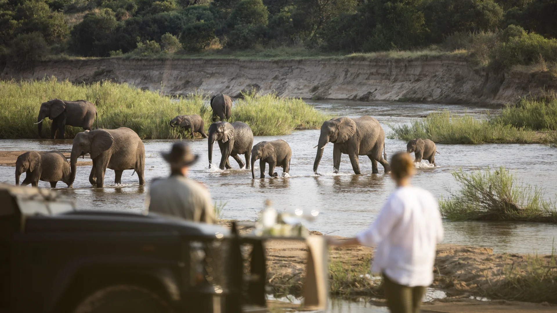 Couple on a luxury safari watch a herd of elephants, including calves, crossing a shallow river in front of their private wildlife viewing spot