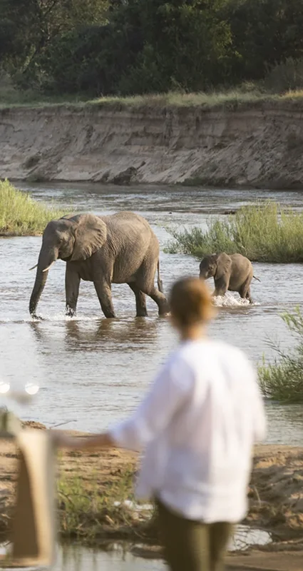 Herd of African elephants crossing a river as safari guests watch from a riverside viewpoint