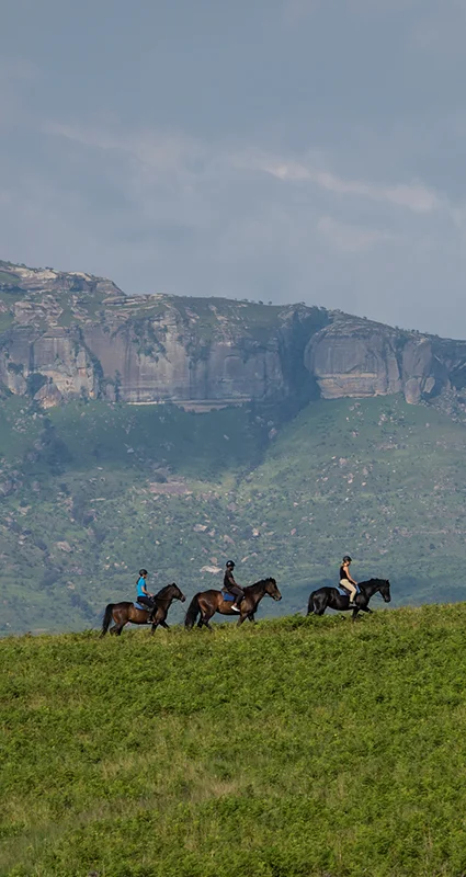 Three guests enjoying a horseback safari through lush green grasslands beneath towering sandstone cliffs in the Drakensberg Mountains, KwaZulu-Natal