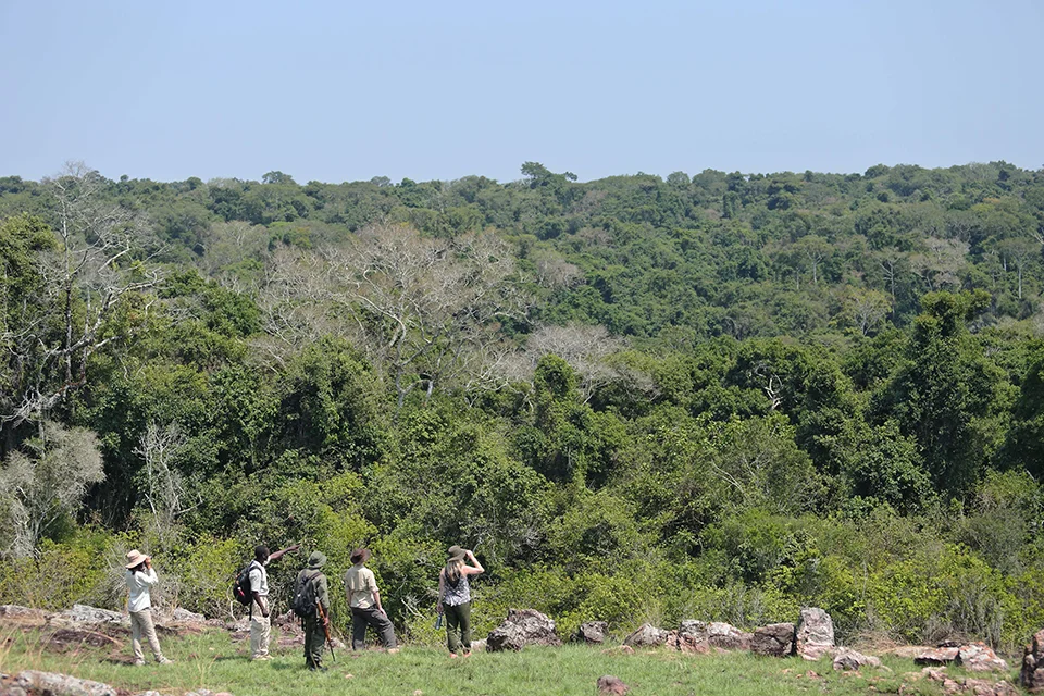 Rubondo Island National Park