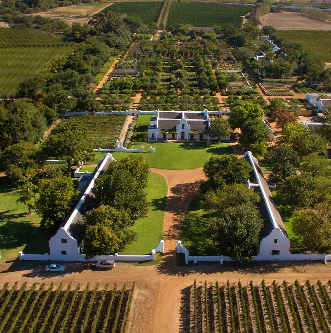 Cape winelands