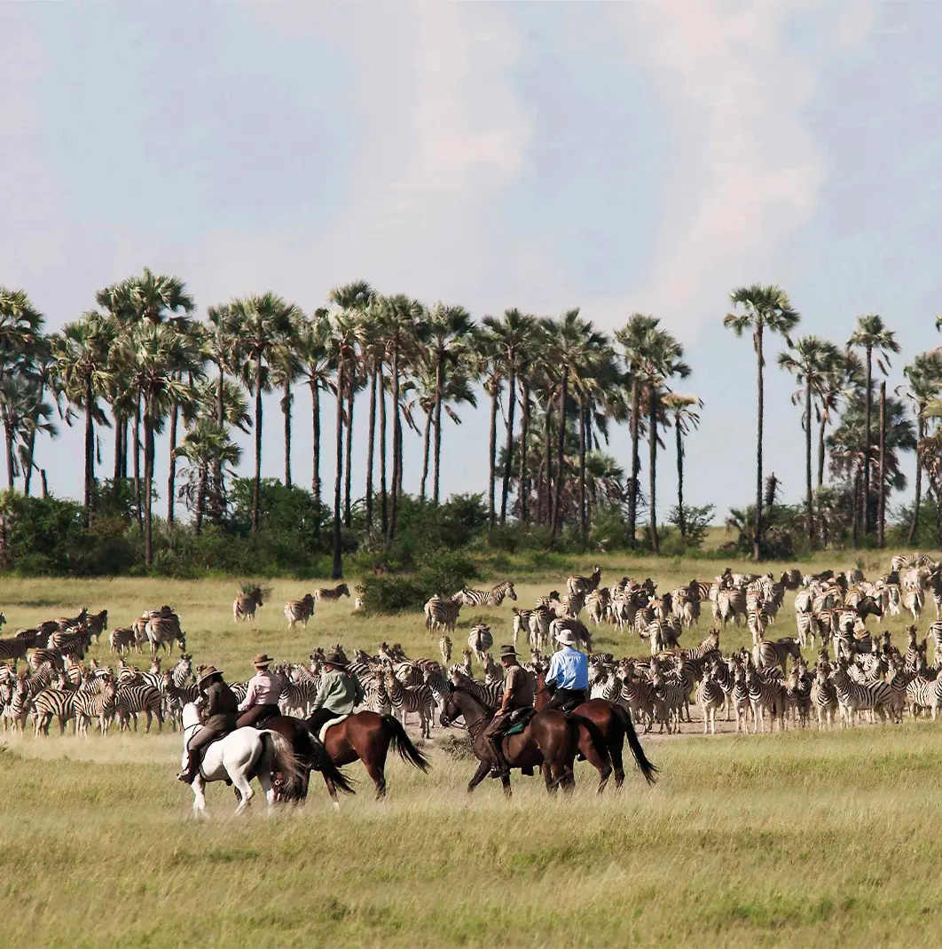 African horse riding safari
