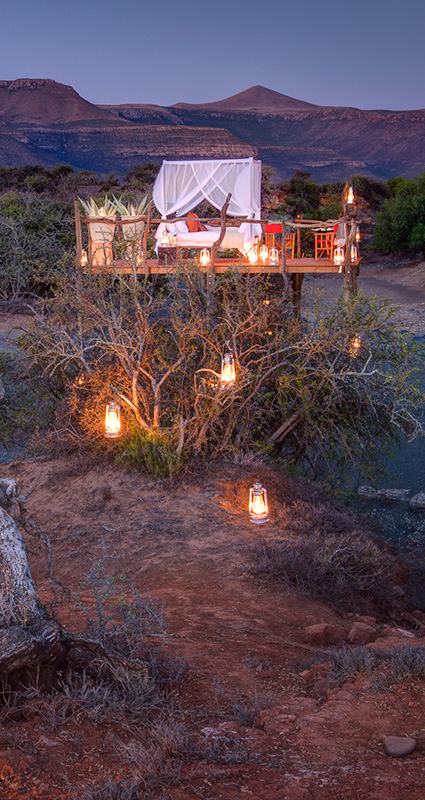 sleep out star bed on safari