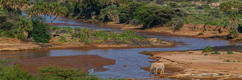 Samburu