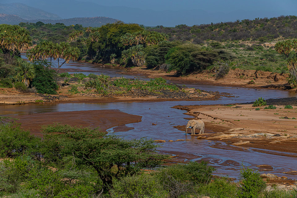 Samburu