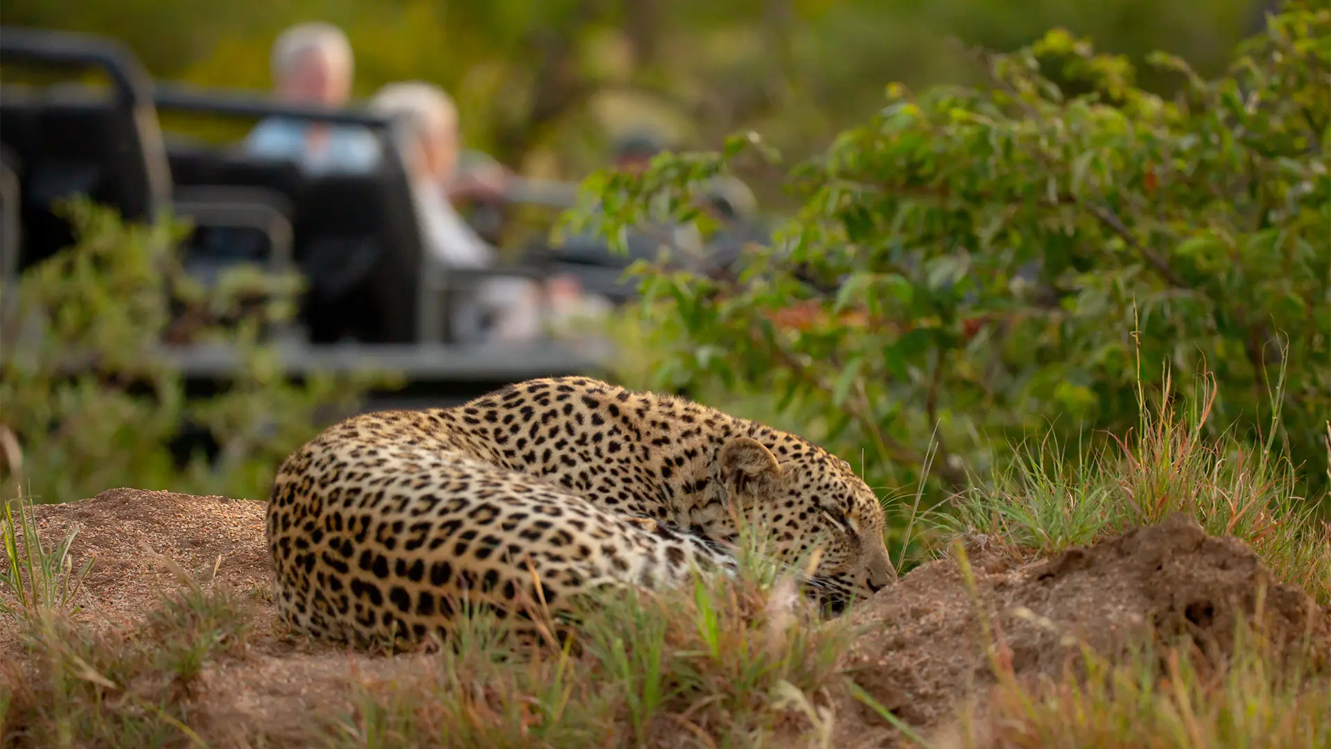 Luxury Botswana safari