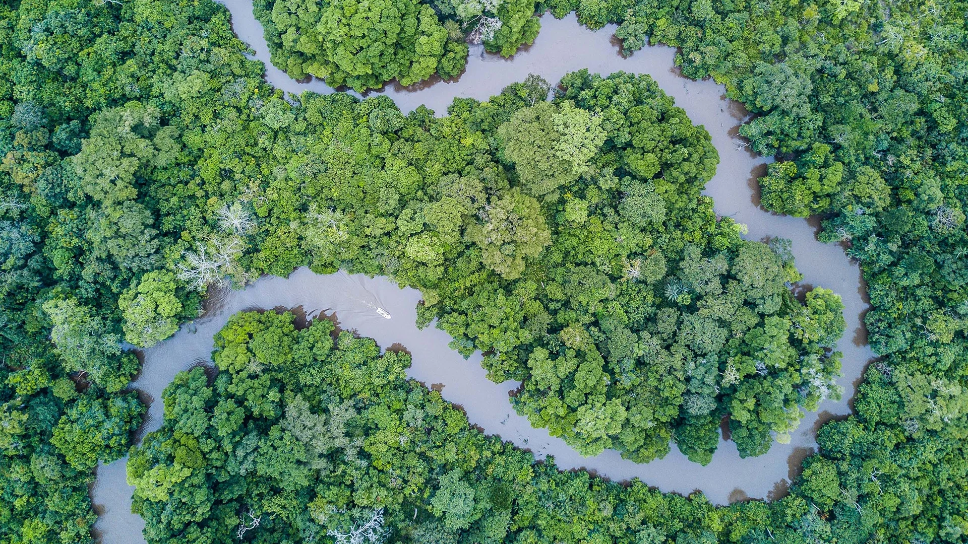 Aerial view of a winding river through dense tropical rainforest in Odzala-Kokoua National Park, Republic of the Congo