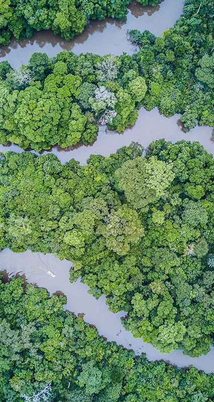 Aerial view of a winding river through dense tropical rainforest in Odzala-Kokoua National Park, Republic of the Congo