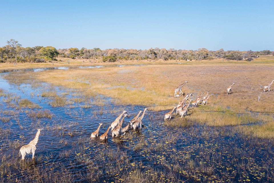 Selinda Reserve