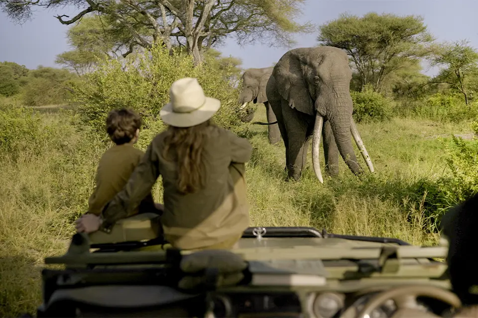 Great migration - Tanzania flying safari