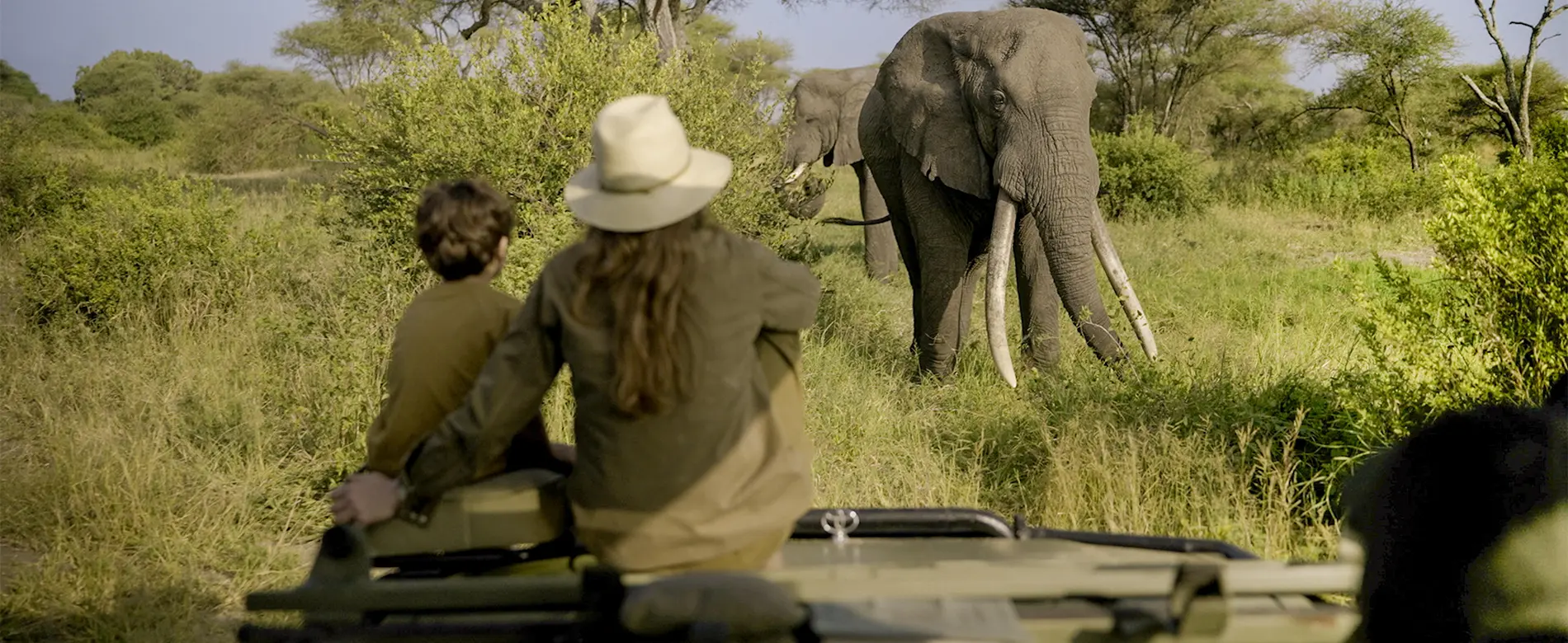 Serengeti migration safari