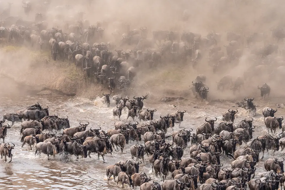 Serengeti National Park
