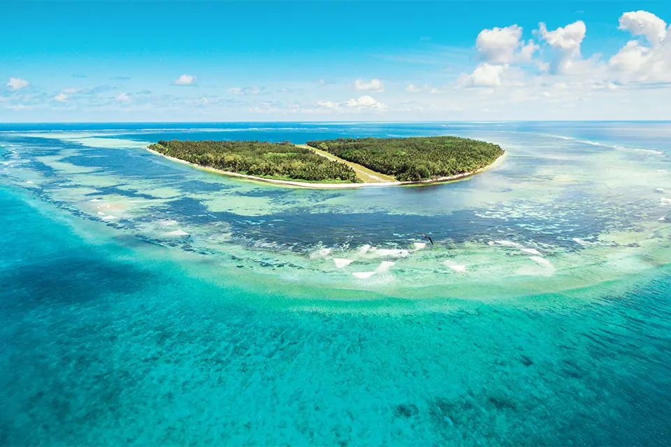 Serengeti calving season & Seychelles