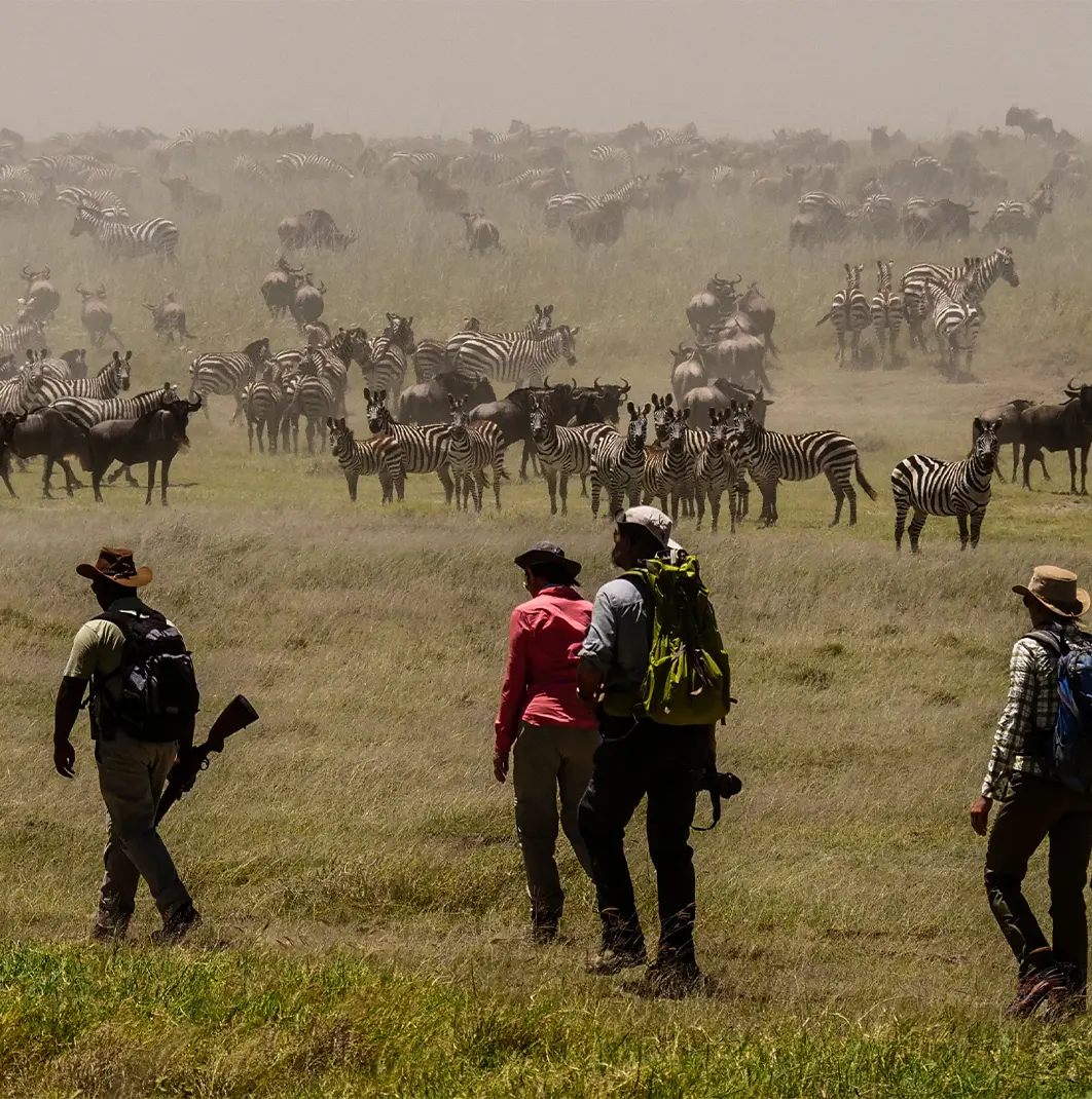 Walking safaris in Africa