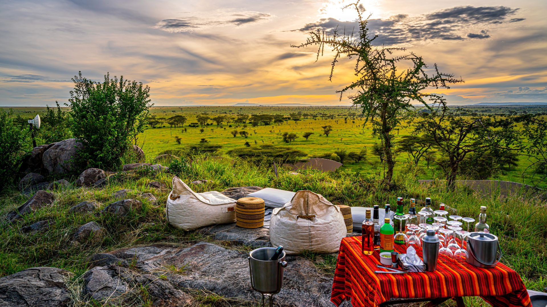serengeti national park's wide savannahs
