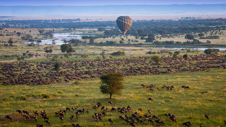 hot air balloon ride on a luxury safari in serengeti national park