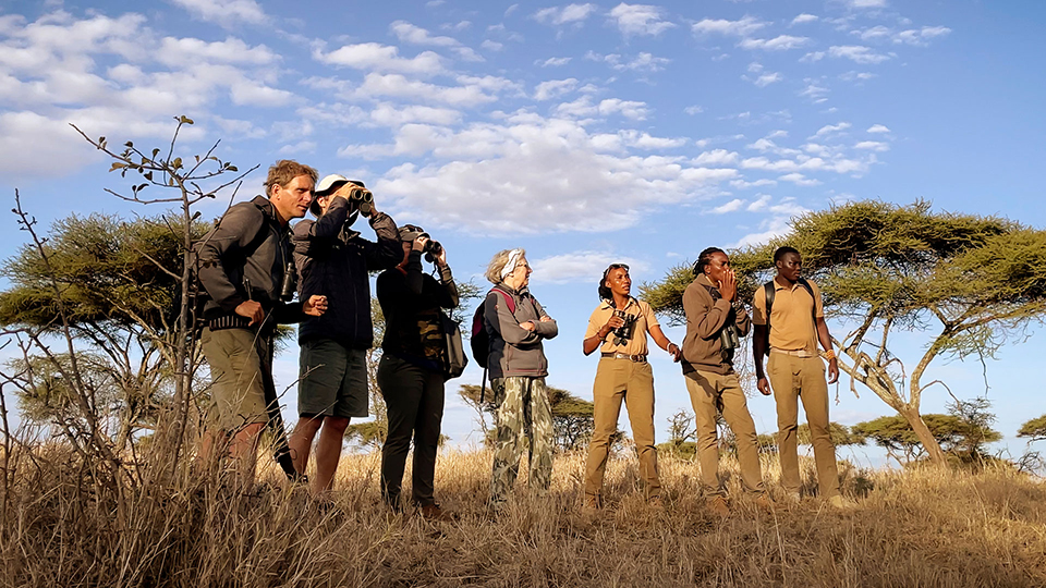 bird watching in serengeti national park