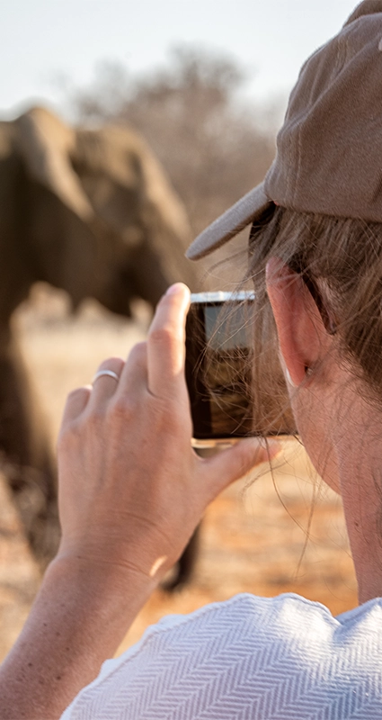 Solo safari in Africa