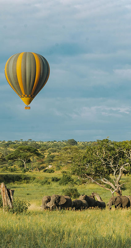 Tarangire luxury safari