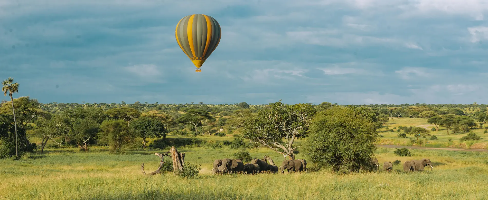 Tarangire National Park safari