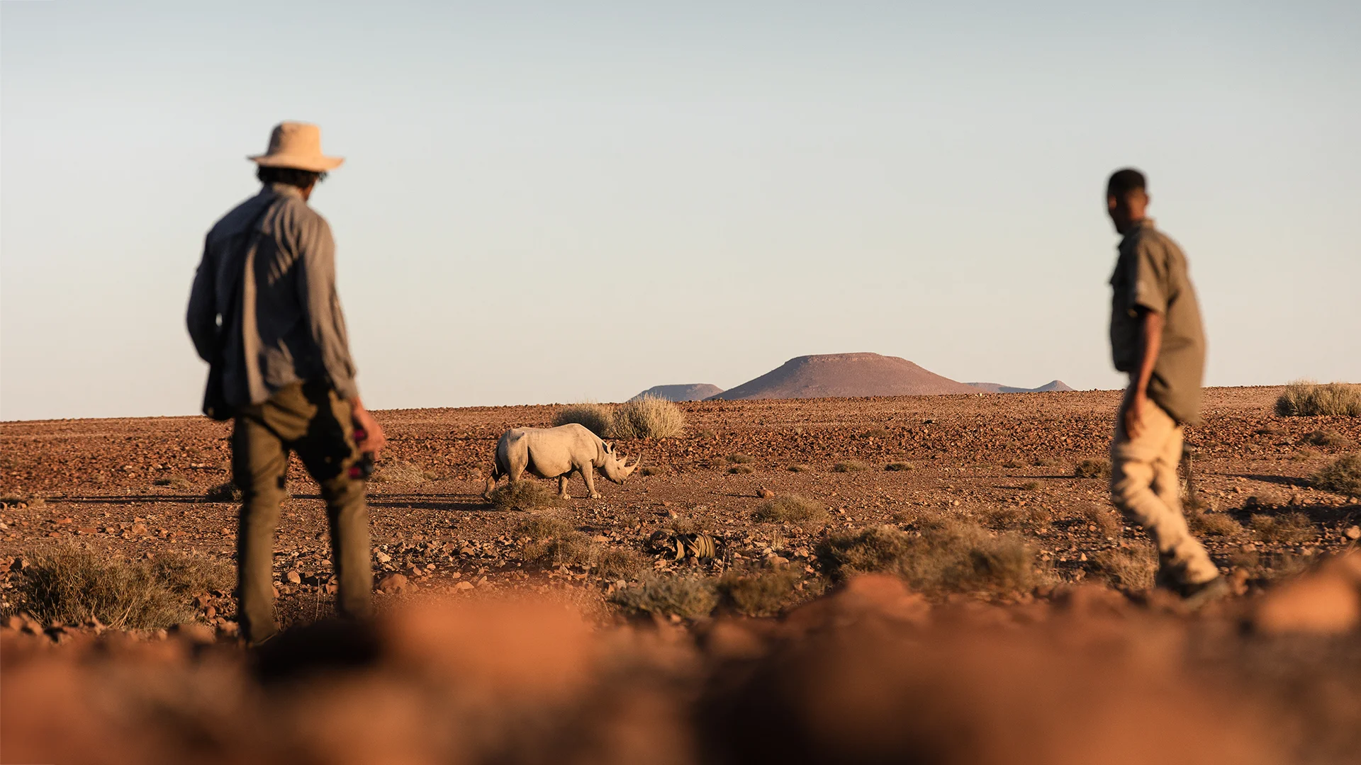 Two guests tracking a desert-adapted black rhino on foot at Desert Rhino Camp in Namibia's Damaraland region