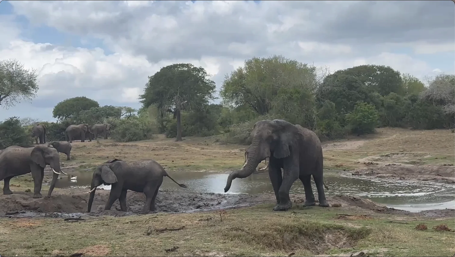 Tembe Elephant National Park