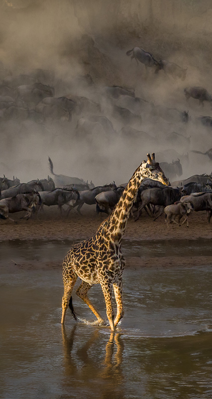 tanzania and zanzibar package