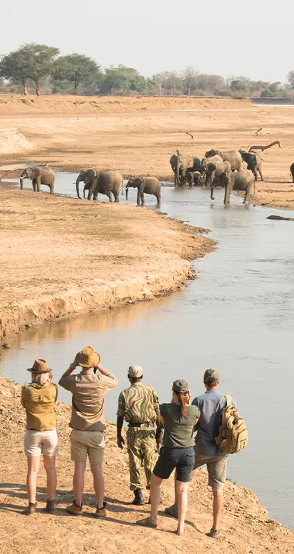 Luxury Zambian safari