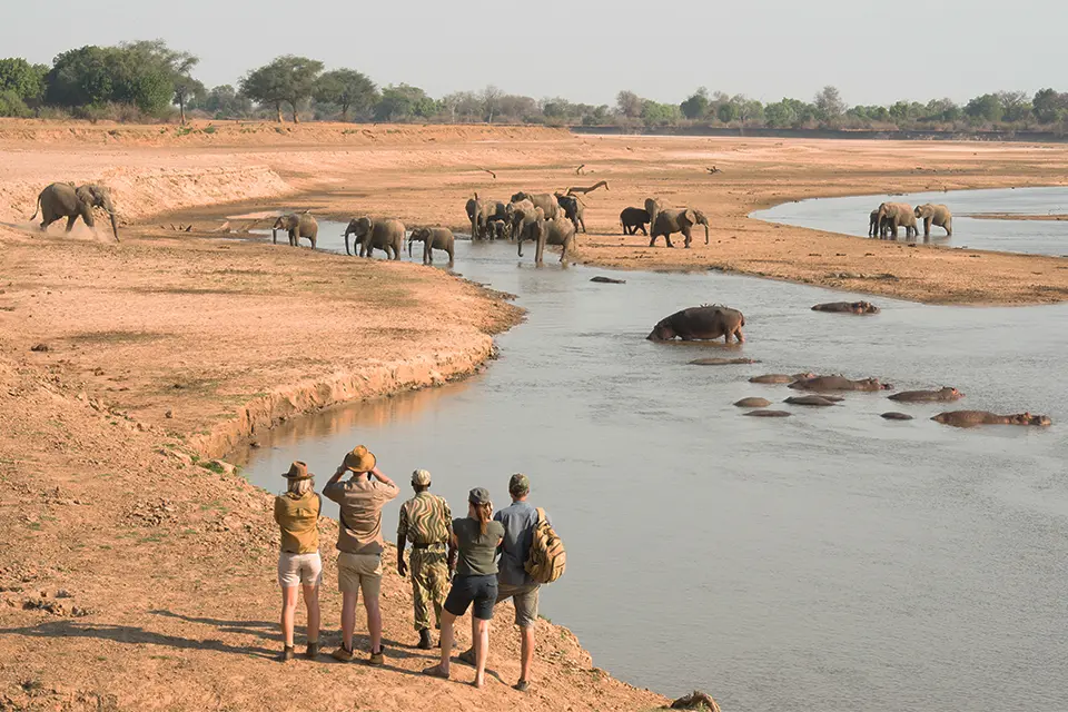 Ultimate South Luangwa