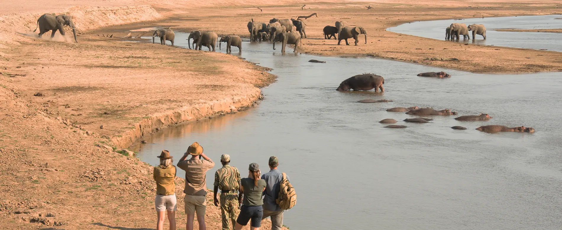 South Luangwa National Park