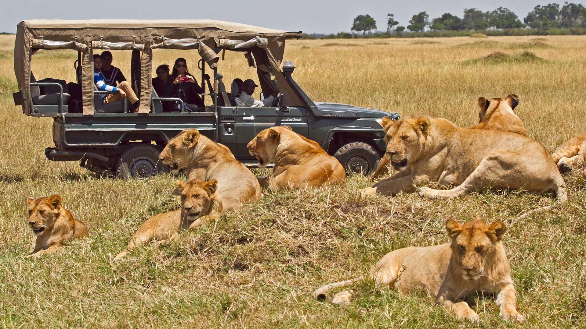 Maasai Mara safari