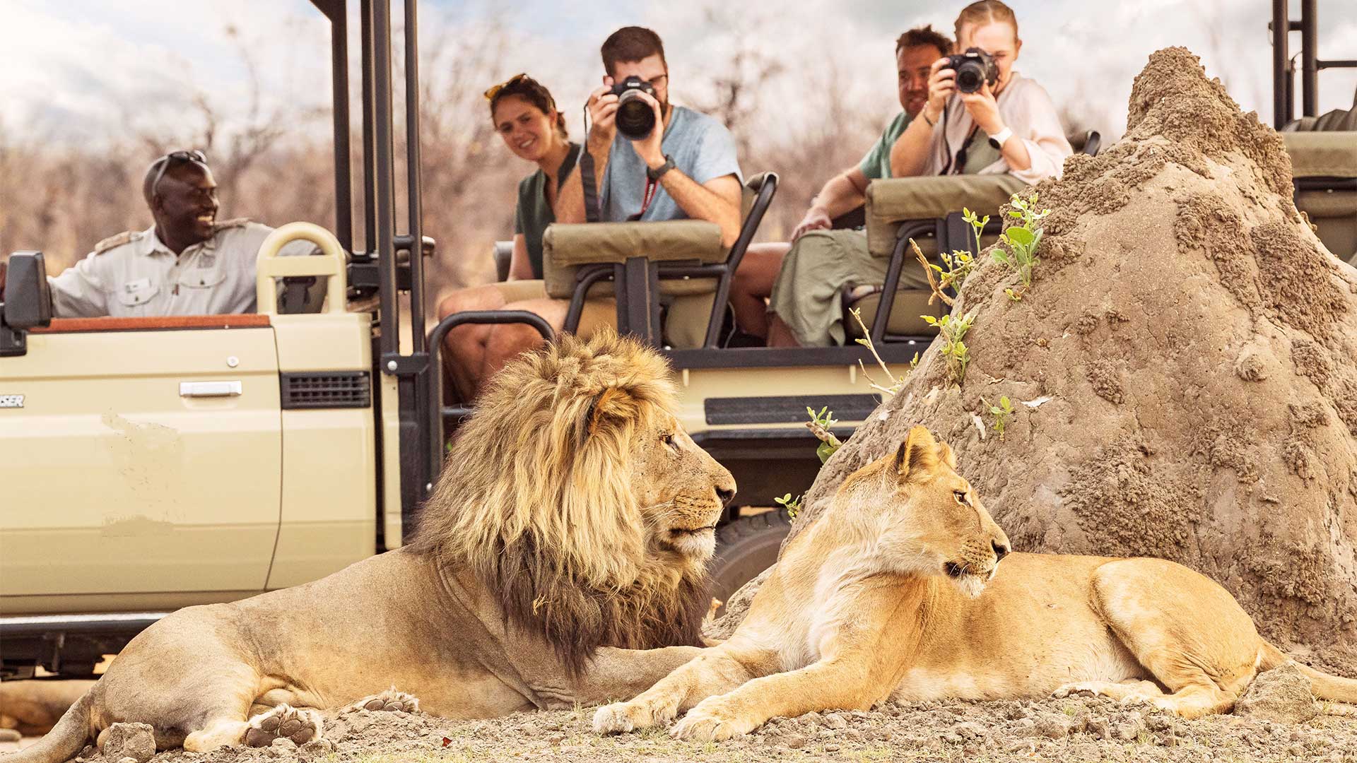 Botswana safari